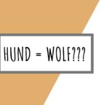 Wie der Wolf zum Hund wurde - Vortrag vom Futtermann