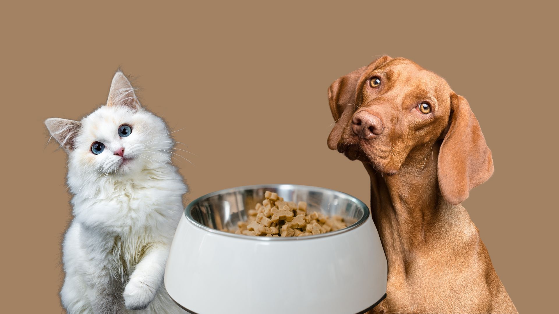 Tales & Tails Artgerechte Fütterung für Hunde und Katzen